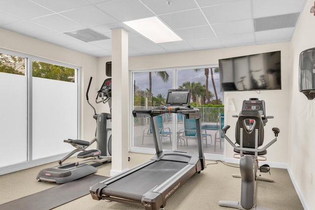 workout area with baseboards, a drop ceiling, and carpet flooring