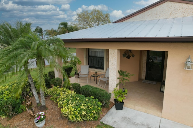 view of exterior entry featuring metal roof, a patio, a standing seam roof, and stucco siding