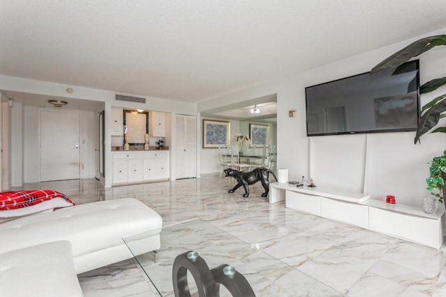 living room featuring a textured ceiling