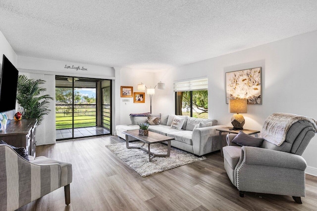 living area featuring a textured ceiling and wood finished floors