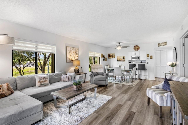 living area with ceiling fan, a textured ceiling, and wood finished floors