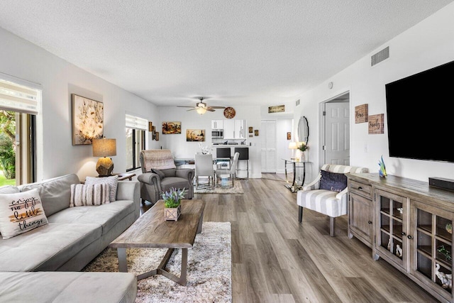 living room featuring a wealth of natural light, a textured ceiling, and wood finished floors