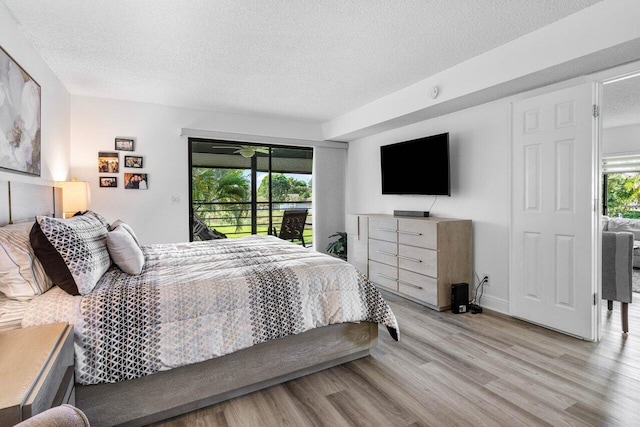 bedroom featuring access to exterior, multiple windows, light wood-style flooring, and a textured ceiling