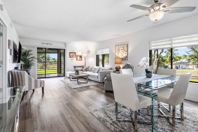 dining room with a textured ceiling, wood finished floors, and a ceiling fan