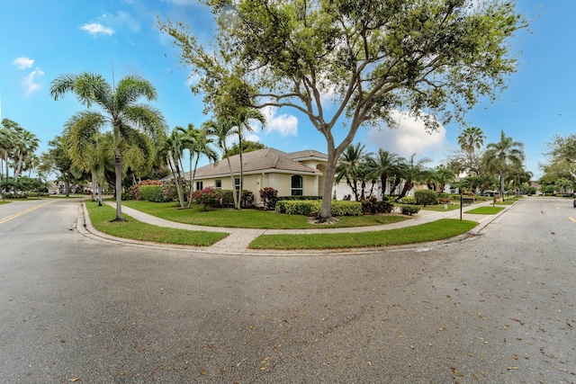 view of front of home featuring stucco siding and a front yard