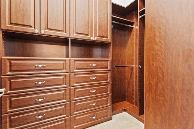 view of walk in closet