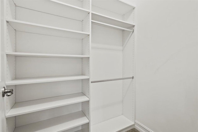 view of walk in closet