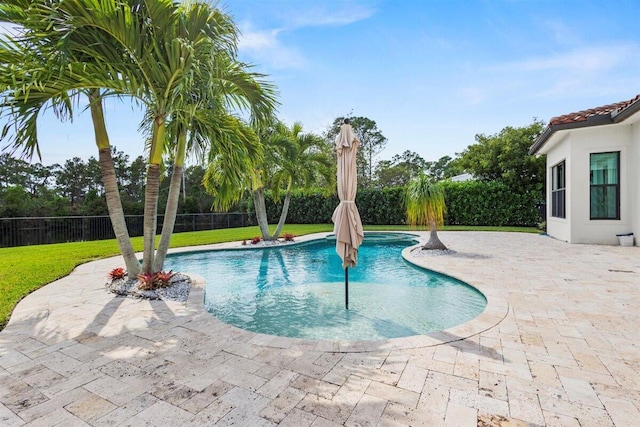 view of swimming pool featuring a fenced in pool, a patio area, a yard, and a fenced backyard