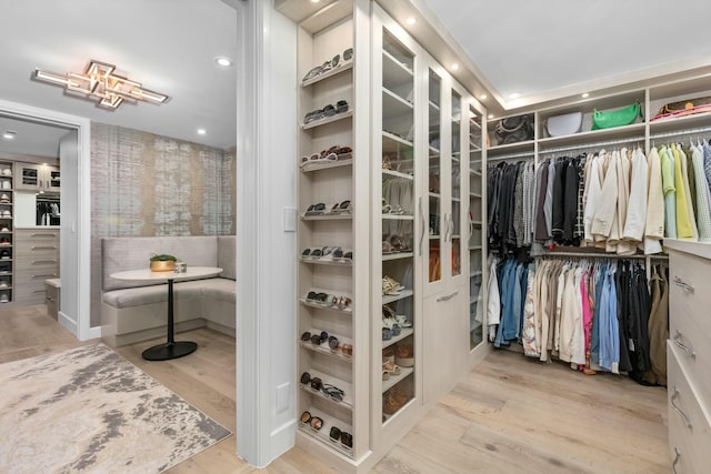 spacious closet featuring wood finished floors