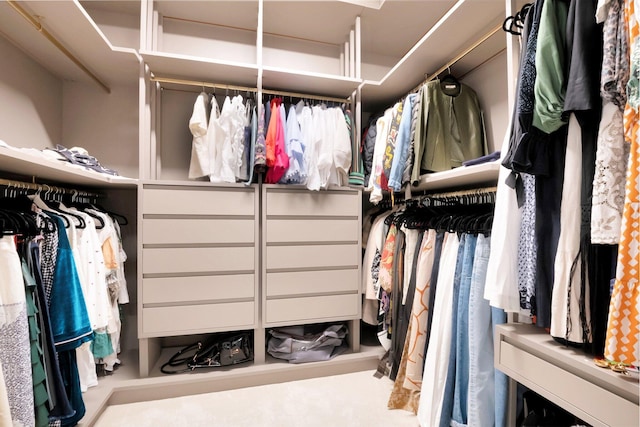 view of spacious closet