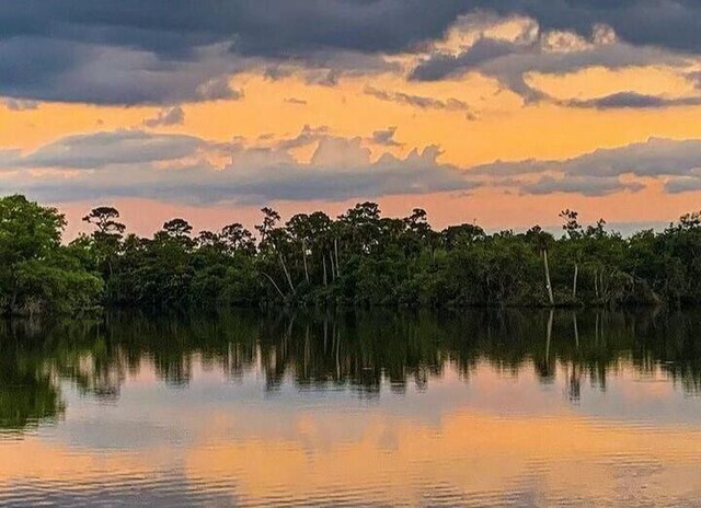 nature at dusk with a water view and a wooded view