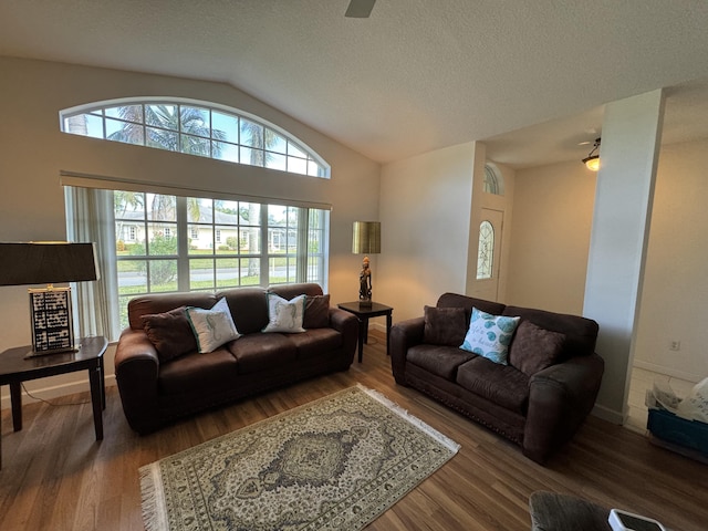 living area with vaulted ceiling, a textured ceiling, and wood finished floors