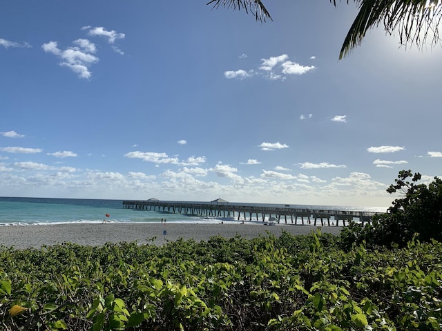 view of water feature featuring a beach view