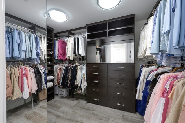 walk in closet featuring wood finished floors