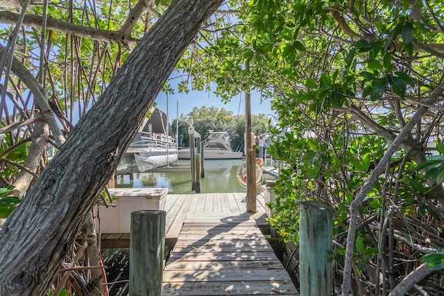 dock area with a water view