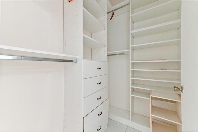 view of walk in closet