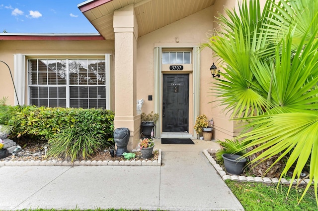 view of exterior entry featuring stucco siding