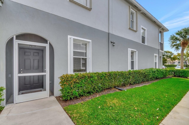 doorway to property featuring stucco siding and a yard