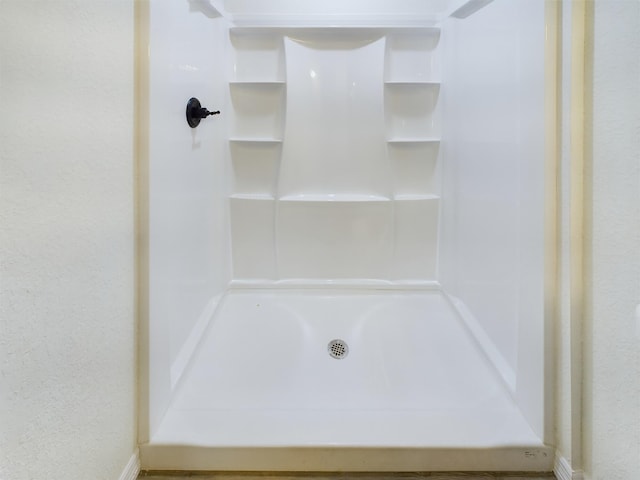 bathroom with a shower