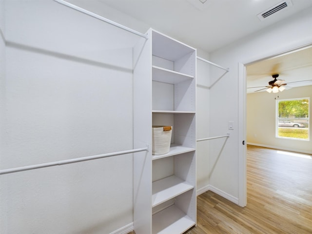 spacious closet featuring light wood-type flooring, visible vents, and a ceiling fan