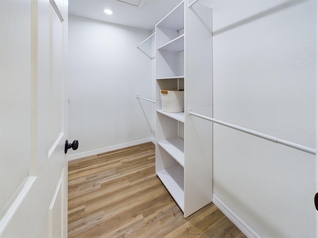 walk in closet featuring wood finished floors