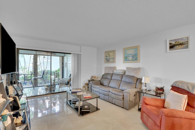 living room featuring a textured ceiling