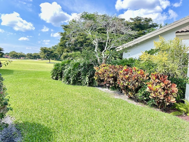 view of yard