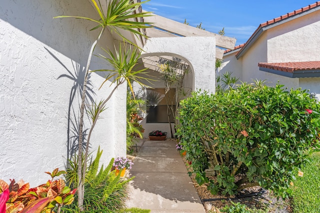 view of exterior entry with a tiled roof and stucco siding