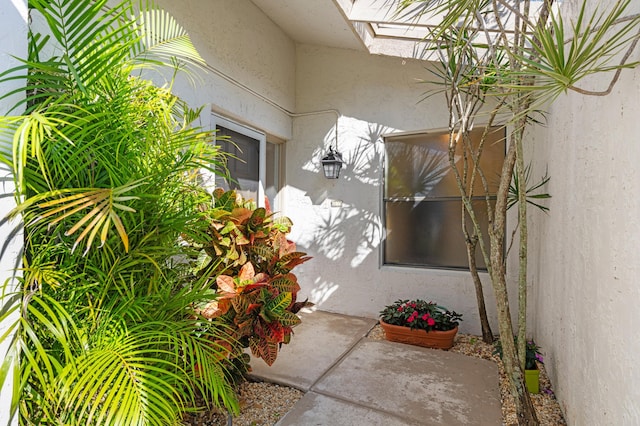 doorway to property with a patio area and stucco siding