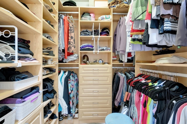 view of walk in closet