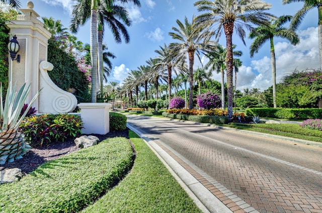 view of street with curbs