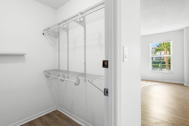 spacious closet featuring wood finished floors