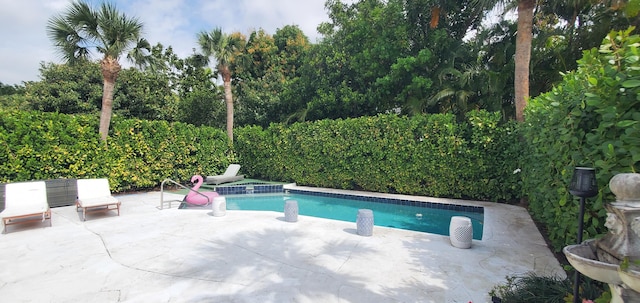 view of pool with a patio