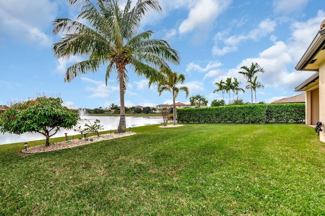 view of yard with a water view