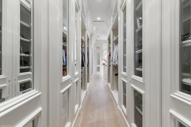 spacious closet with light wood-style flooring