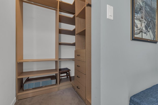 spacious closet featuring carpet