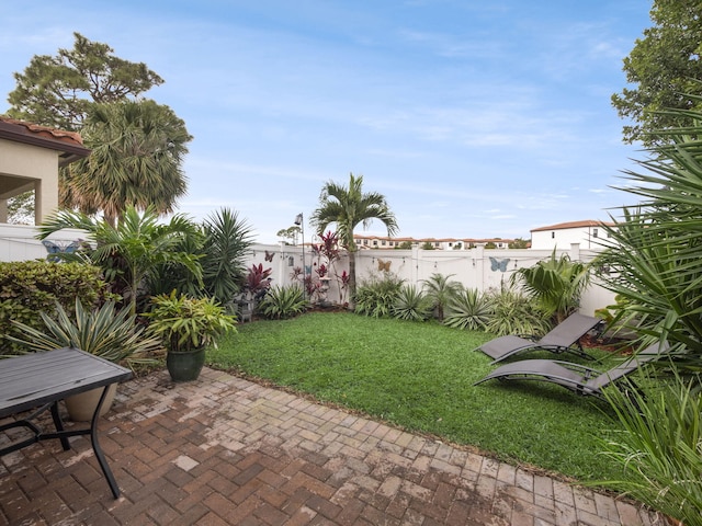view of yard with a patio area