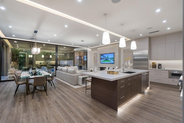 kitchen featuring wood finished floors, appliances with stainless steel finishes, modern cabinets, and a sink