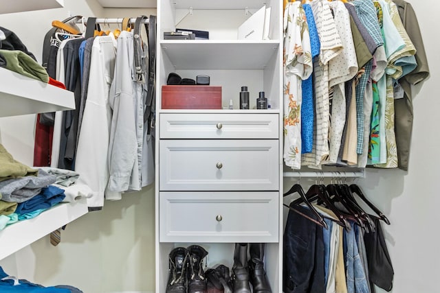 view of walk in closet