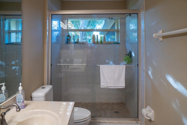 bathroom featuring vanity, a shower stall, and toilet