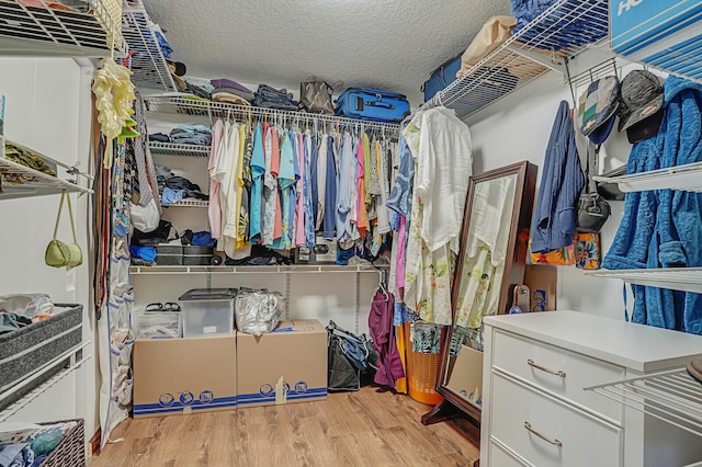 walk in closet with light wood finished floors