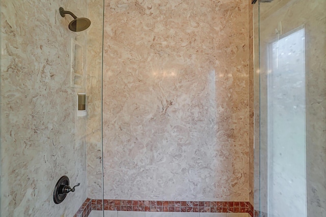 interior details with a walk in shower