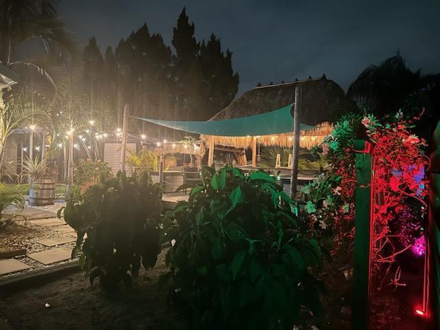 view of yard at twilight