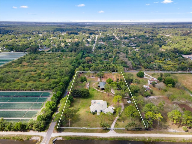 bird's eye view with a view of trees