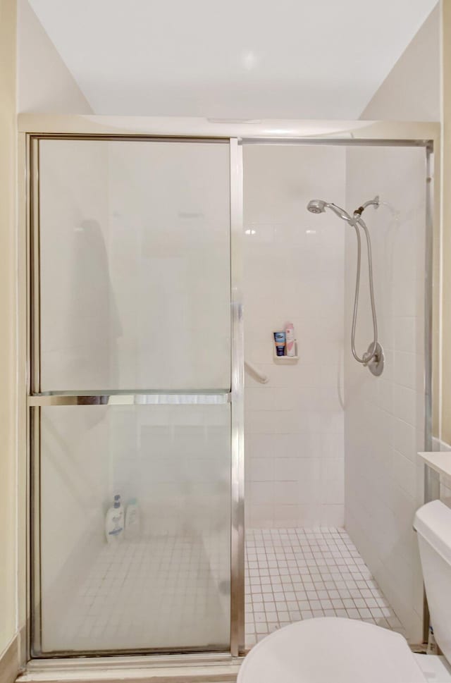 bathroom with a stall shower and toilet