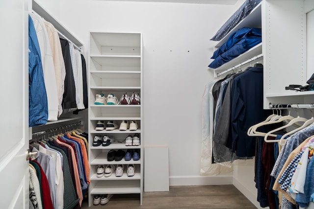 spacious closet with wood finished floors
