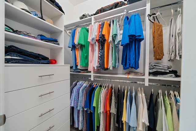 view of spacious closet