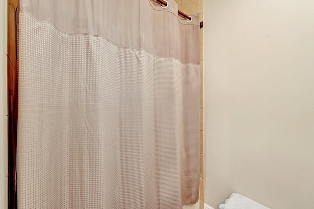 room details with a shower with curtain