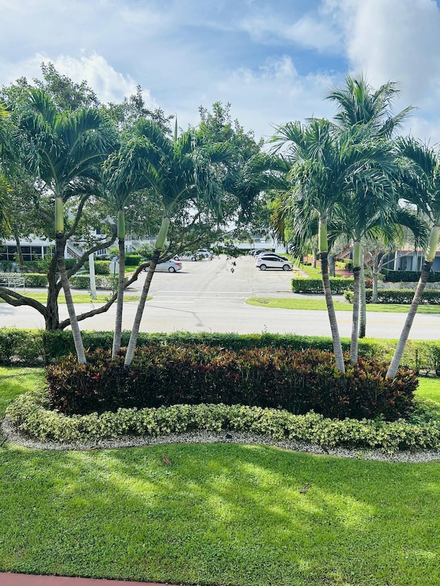 view of home's community with a lawn