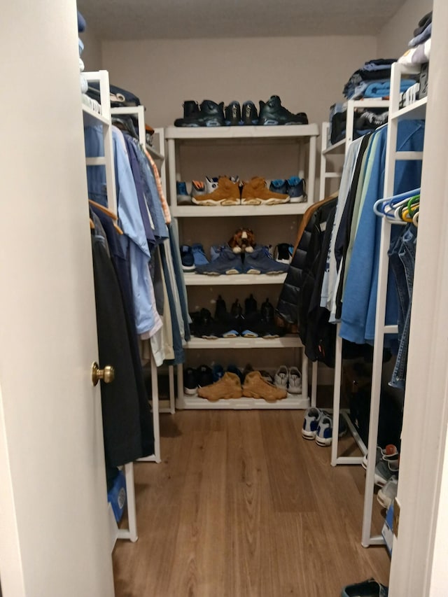 spacious closet with wood finished floors